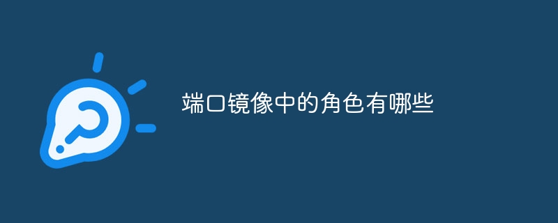 端口镜像中的角色有哪些-第1张图片-海印网