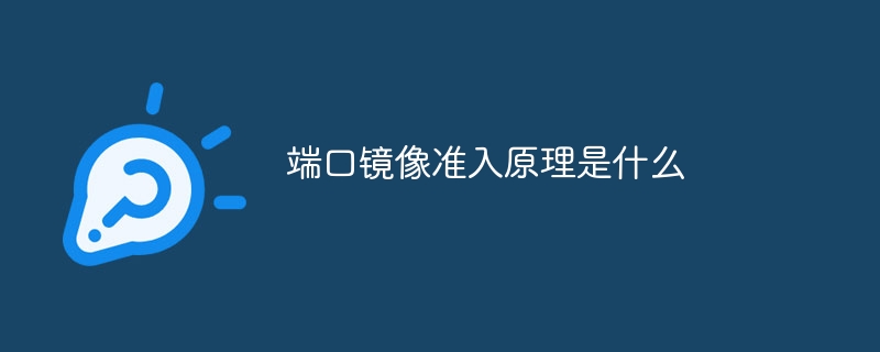 端口镜像准入原理是什么