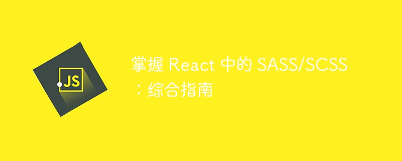 掌握 React 中的 SASS/SCSS：综合指南-第1张图片-海印网