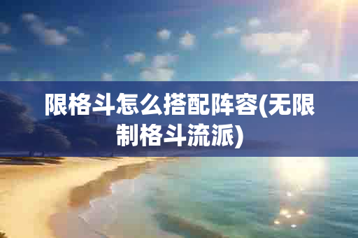 限格斗怎么搭配阵容(无限制格斗流派)-第1张图片-海印网