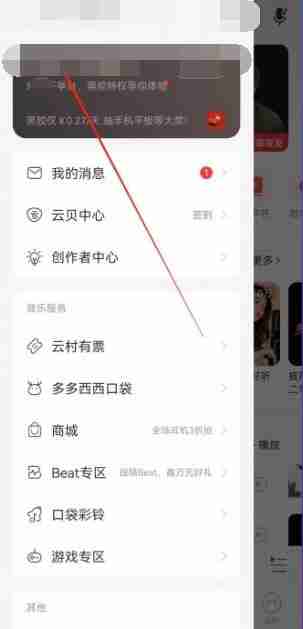 网易云音乐自动续费怎么取消 取消自动续费方法图文教程-第2张图片-海印网