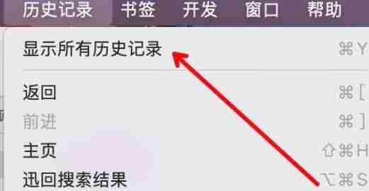 safari历史记录在哪看 safari历史记录查看方法介绍-第5张图片-海印网
