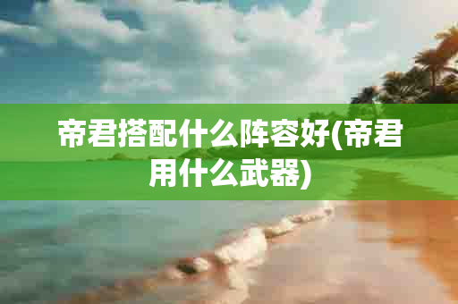 帝君搭配什么阵容好(帝君用什么武器)-第1张图片-海印网