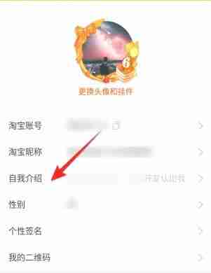 淘宝自我介绍怎么改 自我介绍更改方法介绍-第4张图片-海印网