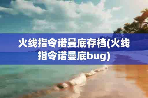 火线指令诺曼底存档(火线指令诺曼底bug)