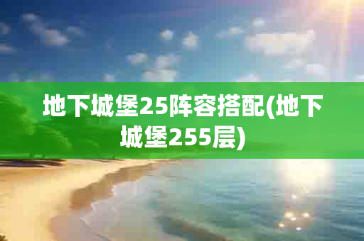 地下城堡25阵容搭配(地下城堡255层)