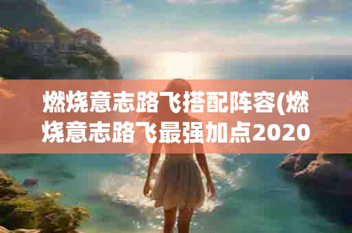 燃烧意志路飞搭配阵容(燃烧意志路飞最强加点2020)