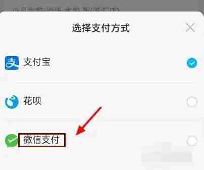 饿了么怎么用微信支付 用微信支付方法教程-第3张图片-海印网