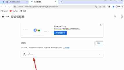 chrome浏览器密码储存在哪里 密码储存位置介绍-第4张图片-海印网