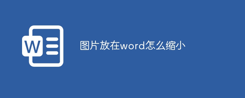 图片放在word怎么缩小-第1张图片-海印网