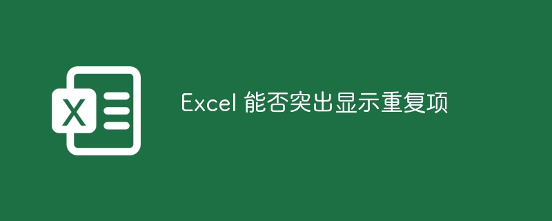 Excel 能否突出显示重复项-第1张图片-海印网