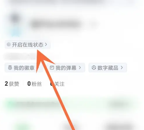 爱奇艺怎么打开在线状态 爱奇艺开启在线状态方法-第1张图片-海印网