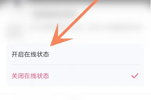 爱奇艺怎么打开在线状态 爱奇艺开启在线状态方法-第2张图片-海印网