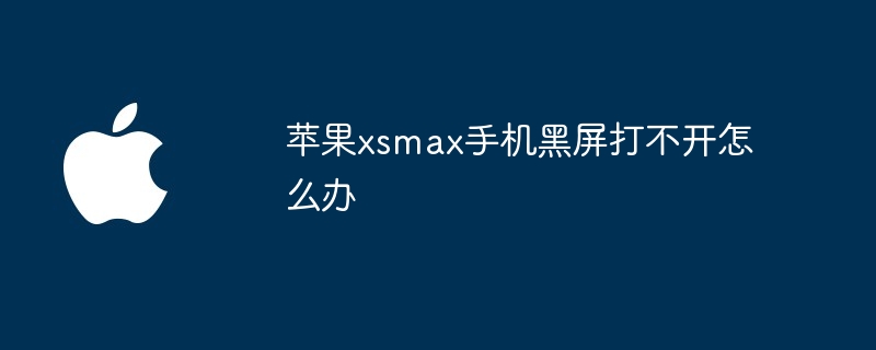 苹果xsmax手机黑屏打不开怎么办-第1张图片-海印网