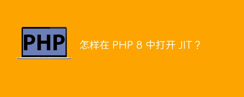 怎样在 PHP 8 中打开 JIT？-第1张图片-海印网