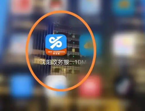 沈阳政务服务app怎么查询社保 沈阳政务服务查询社保补贴方法-第1张图片-海印网