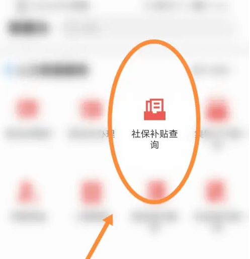 沈阳政务服务app怎么查询社保 沈阳政务服务查询社保补贴方法-第3张图片-海印网