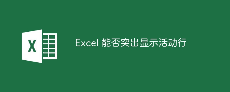 Excel 能否突出显示活动行-第1张图片-海印网