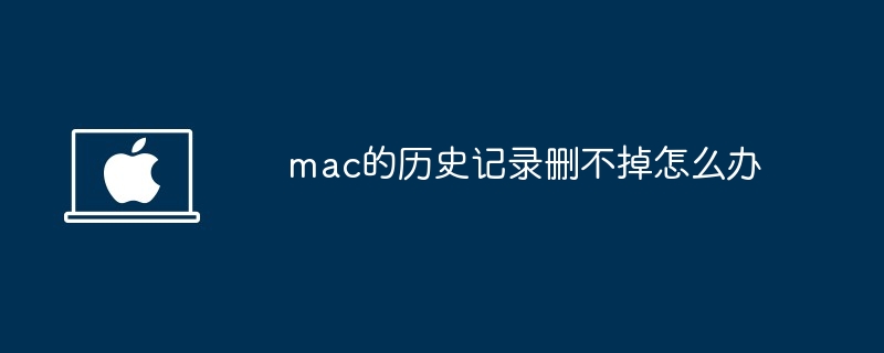 mac的历史记录删不掉怎么办-第1张图片-海印网