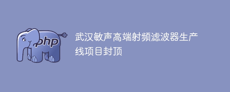 武汉敏声高端射频滤波器生产线项目封顶