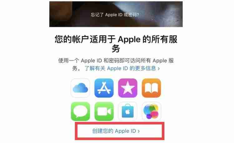 手机如何下载安装泰达币交易所APP？泰达币交易所APP下载安装手机版教程-第3张图片-海印网