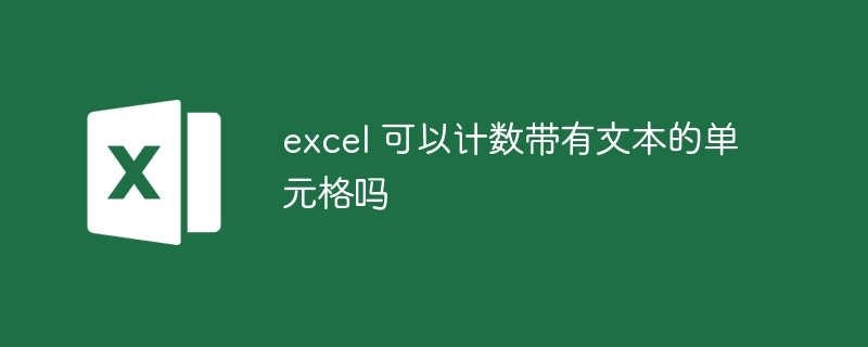 excel 可以计数带有文本的单元格吗-第1张图片-海印网