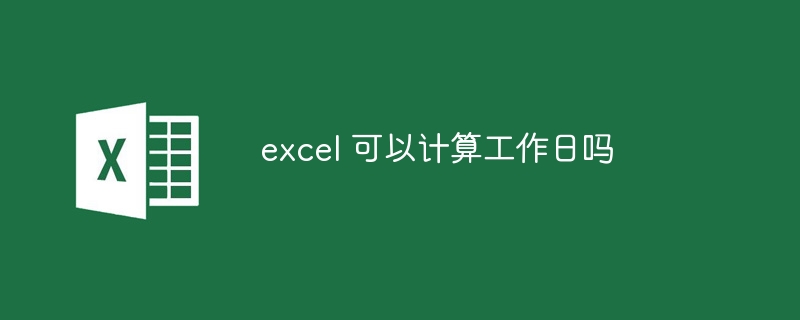 excel 可以计算工作日吗-第1张图片-海印网