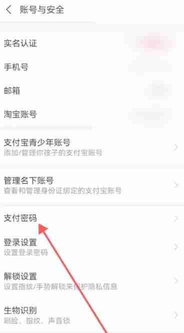 支付宝密码怎么设置 支付宝密码设置方法-第3张图片-海印网