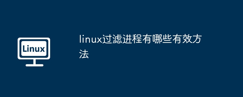 linux过滤进程有哪些有效方法-第1张图片-海印网