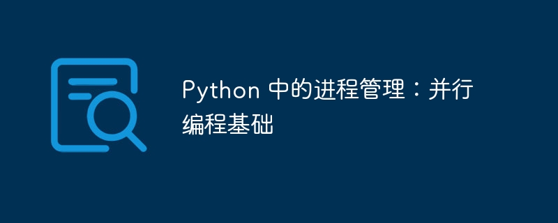 Python 中的进程管理：并行编程基础-第1张图片-海印网