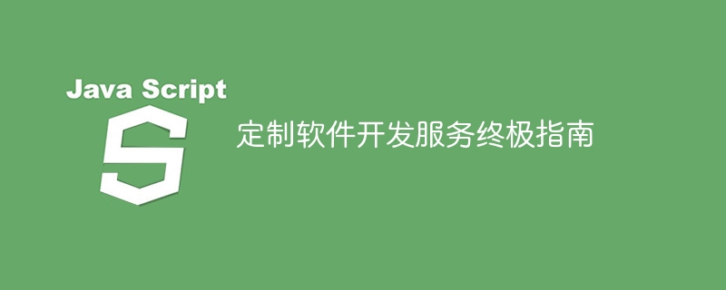 定制软件开发服务终极指南-第1张图片-海印网